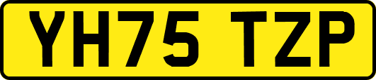 YH75TZP