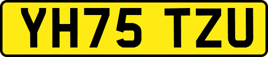 YH75TZU