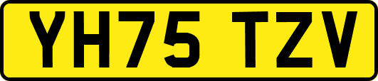 YH75TZV
