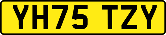 YH75TZY