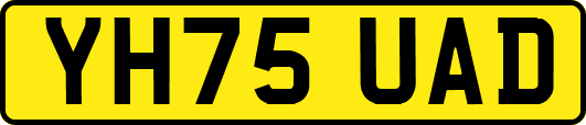 YH75UAD