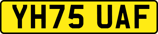 YH75UAF