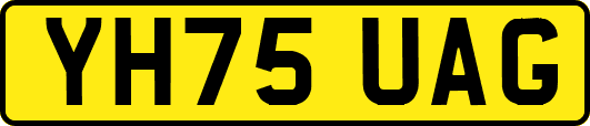 YH75UAG