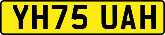 YH75UAH