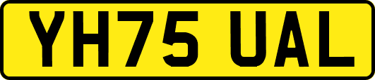 YH75UAL