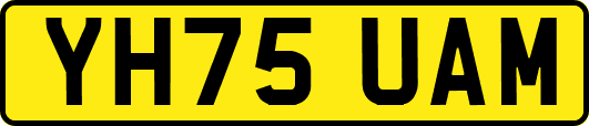 YH75UAM