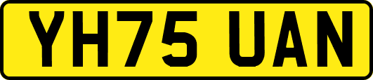 YH75UAN