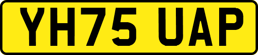 YH75UAP