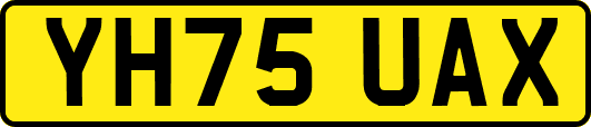 YH75UAX