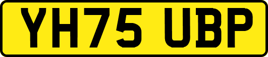 YH75UBP