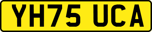 YH75UCA