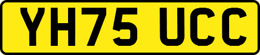 YH75UCC