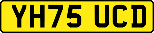 YH75UCD