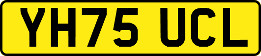 YH75UCL
