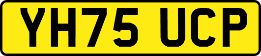 YH75UCP