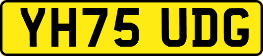 YH75UDG