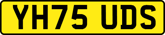 YH75UDS
