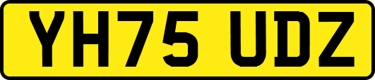 YH75UDZ