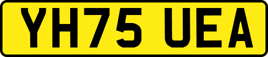 YH75UEA