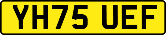 YH75UEF
