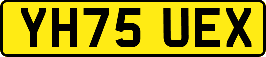 YH75UEX