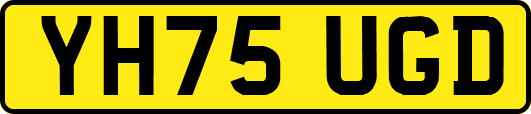YH75UGD