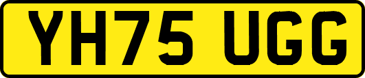 YH75UGG