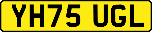 YH75UGL