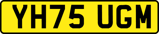 YH75UGM