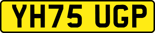 YH75UGP