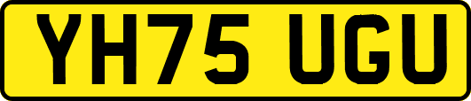 YH75UGU