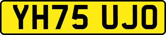 YH75UJO