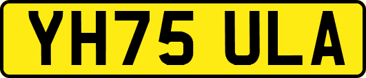 YH75ULA