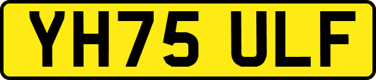 YH75ULF