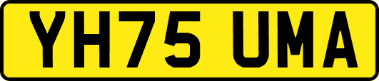 YH75UMA