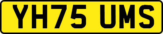 YH75UMS