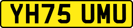 YH75UMU