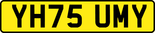 YH75UMY