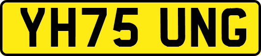 YH75UNG