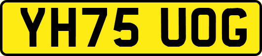 YH75UOG
