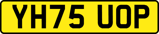 YH75UOP