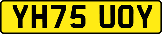 YH75UOY
