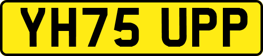 YH75UPP