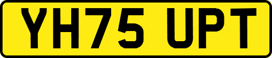 YH75UPT