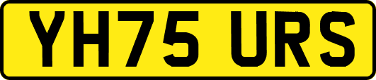 YH75URS