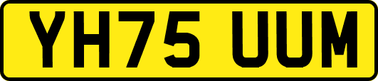 YH75UUM