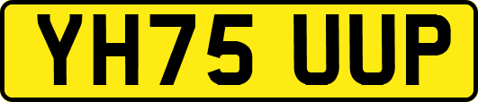 YH75UUP