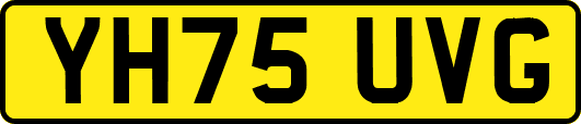 YH75UVG