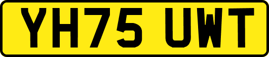 YH75UWT
