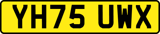 YH75UWX